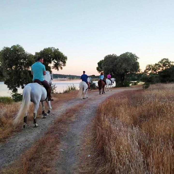Quinta Da Saudade Hotel Ponte de Sor Bagian luar foto