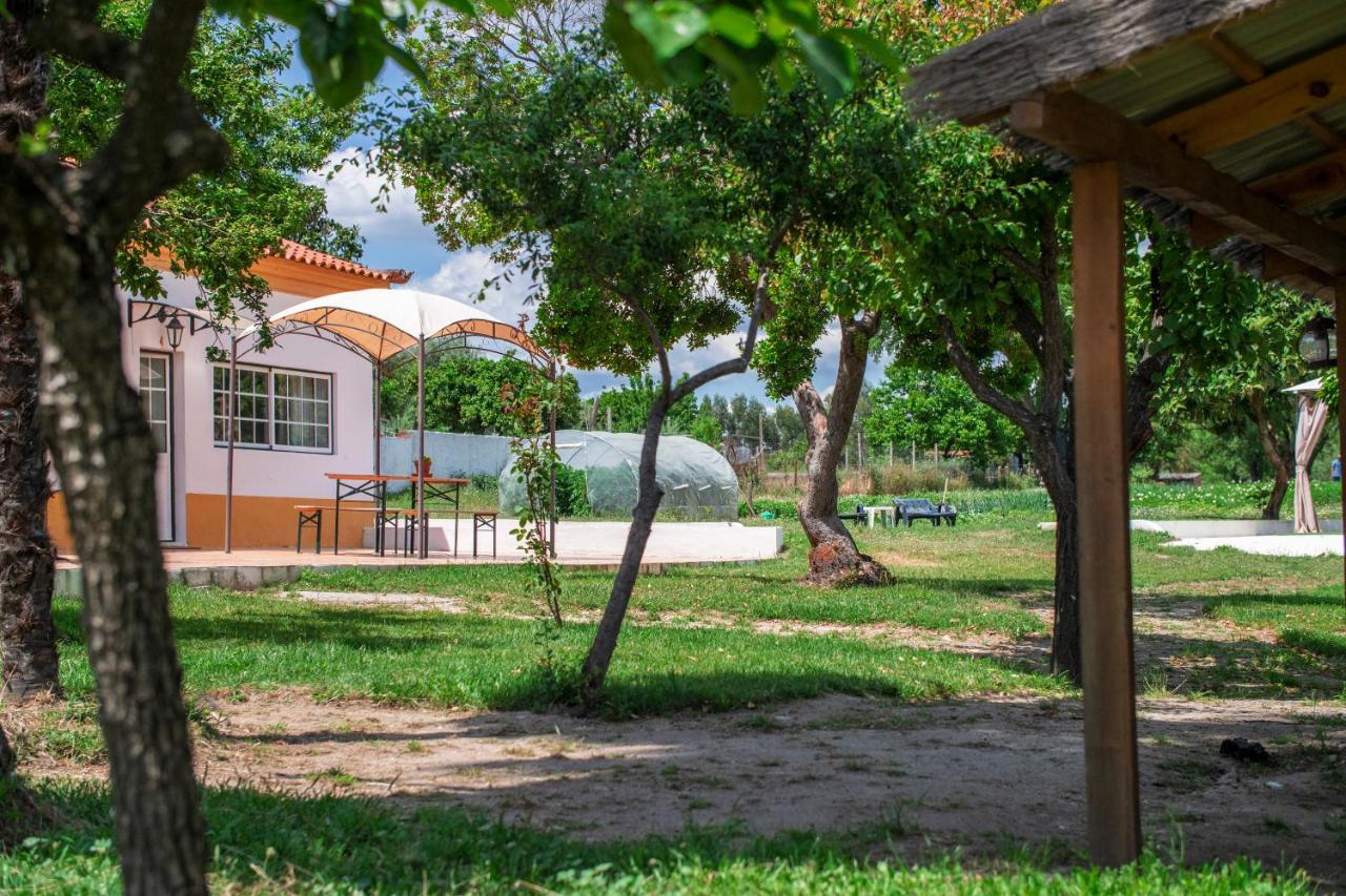 Quinta Da Saudade Hotel Ponte de Sor Bagian luar foto